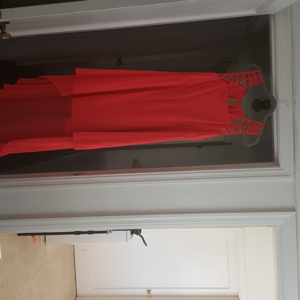 Torrid dress